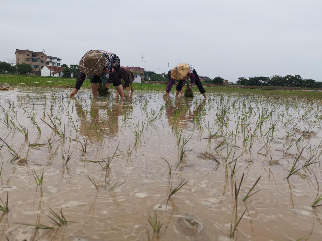 1636681626266930.png 图片2 (1).png