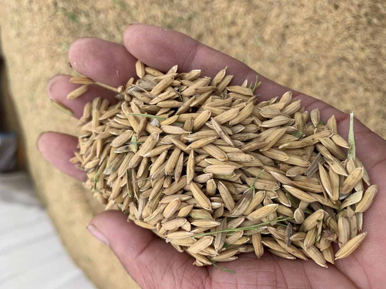 1636681653660479.png 图片3.png