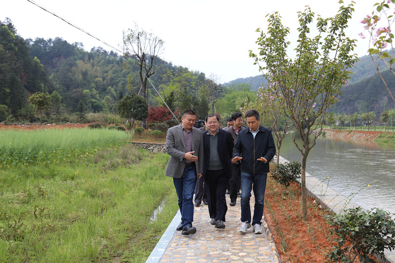 集团公司领导赴龙游罗家乡走访了解扶贫共建项目进展情况