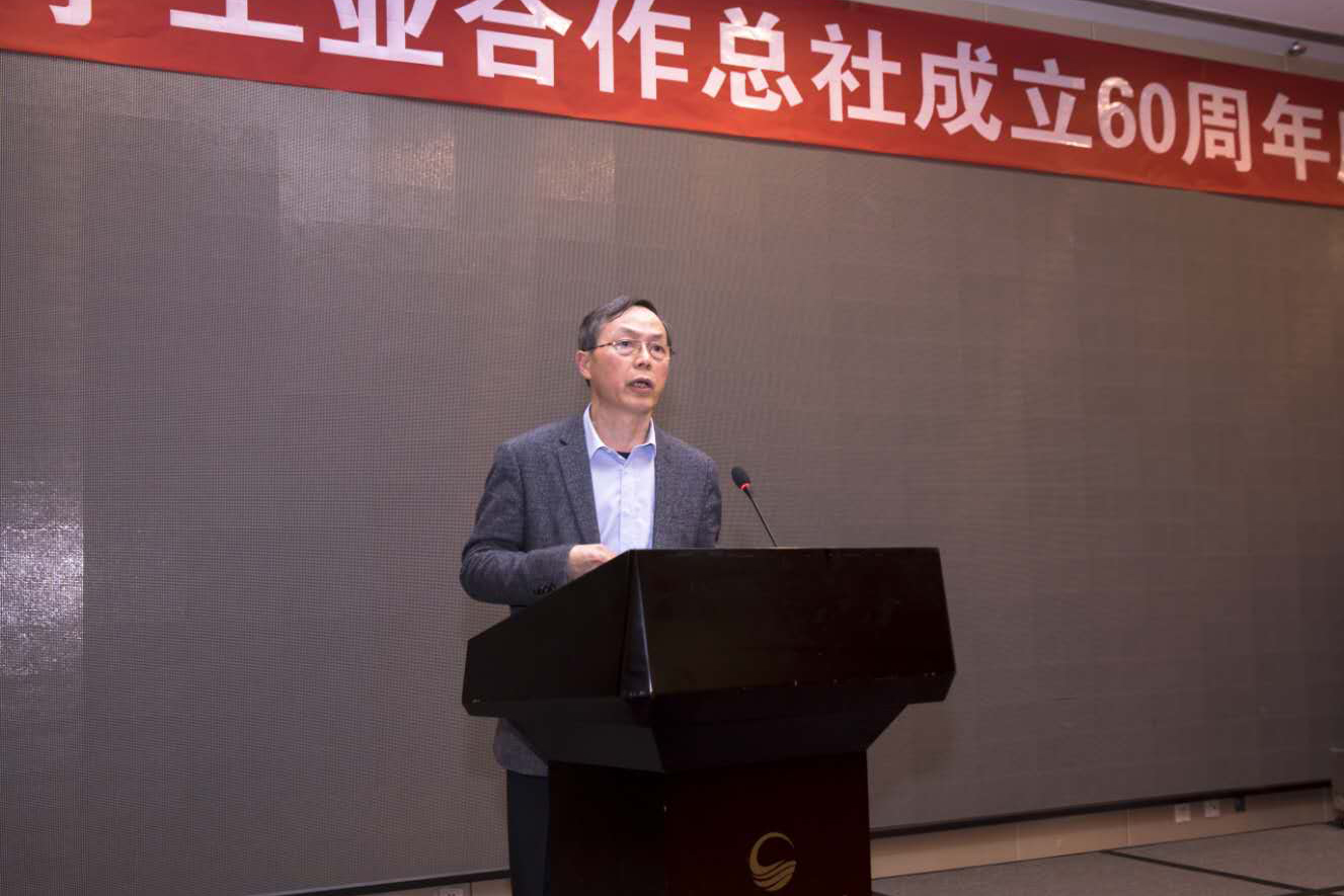 开拓进取引领轻工业走进高质量发展新时代