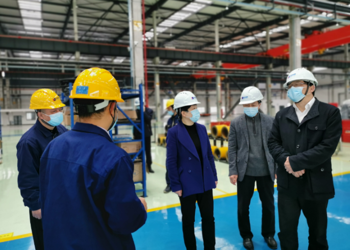 省委组织部副部长胡旭阳一行赴德清申达调研指导