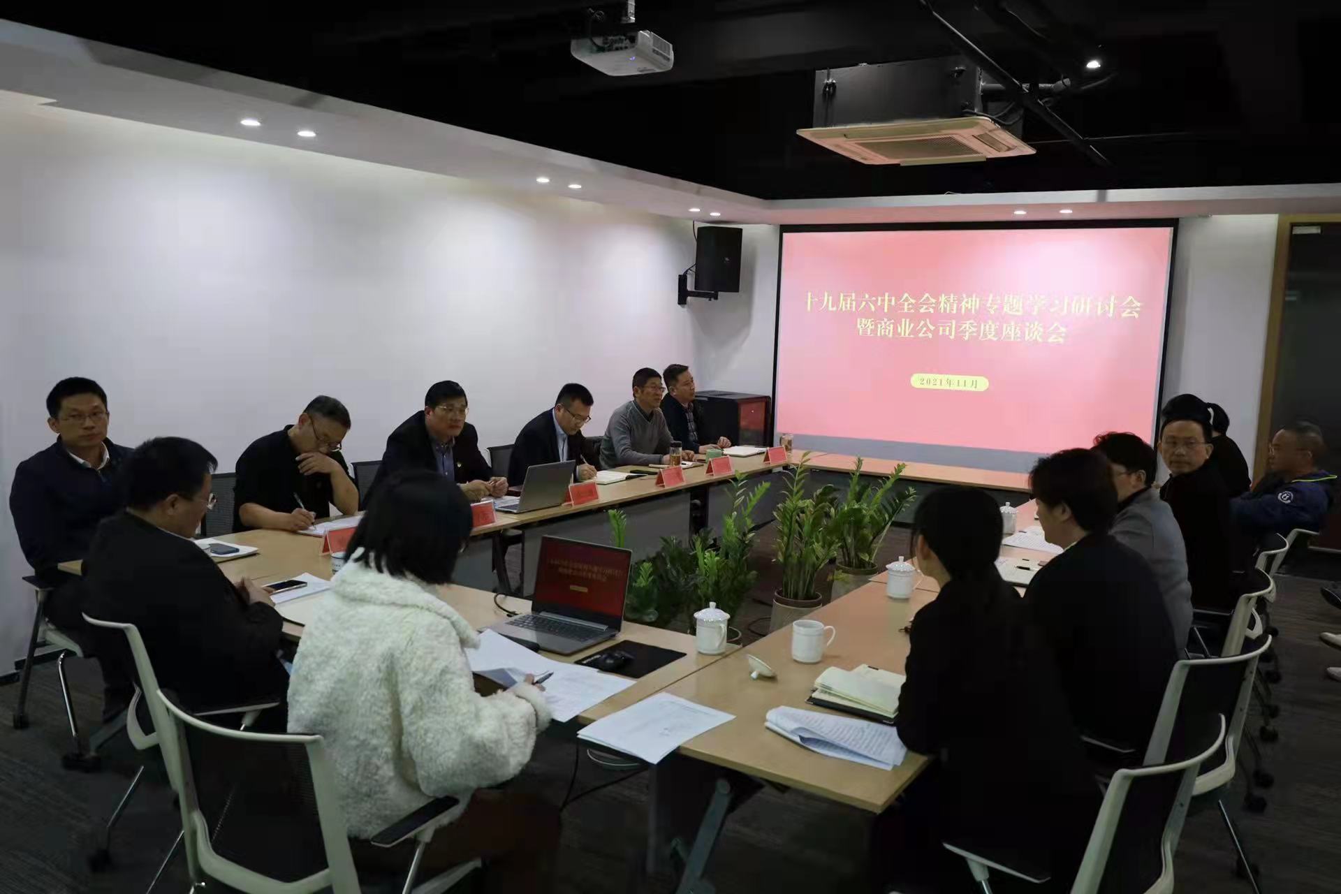商业公司召开十九届六中全会精神专题学习研讨会暨季度座谈会